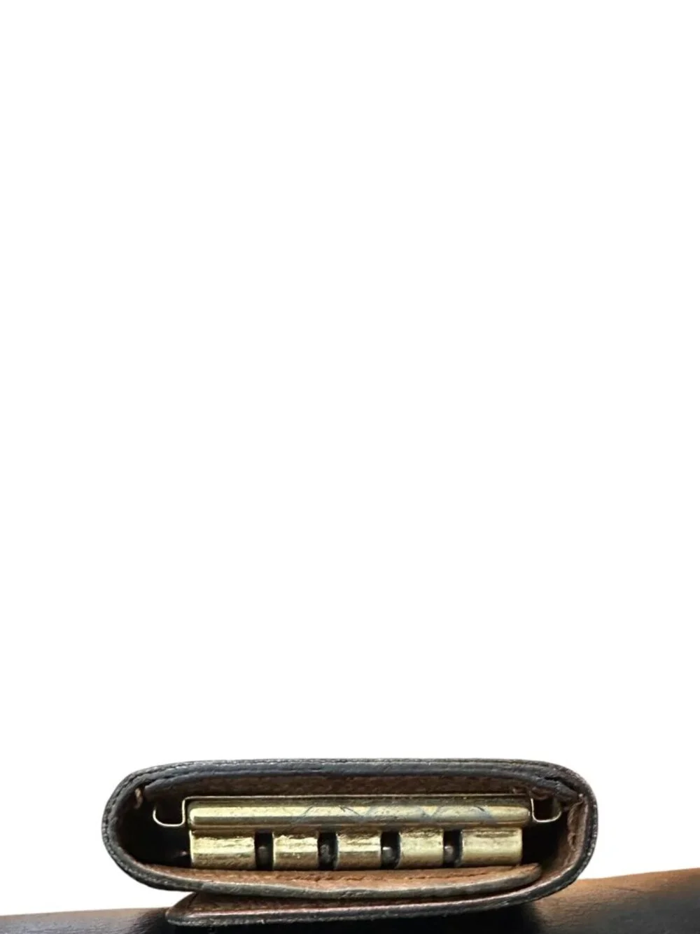 Louis Vuitton authentic louis